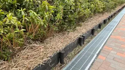 現地の刈草を使用したエコなマルチング