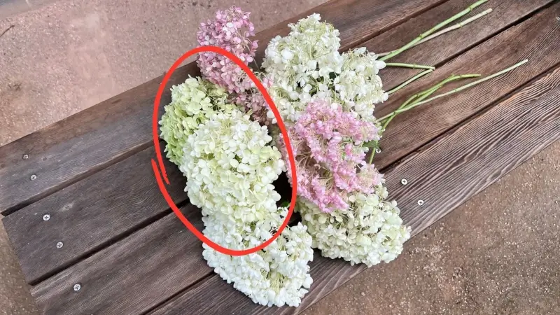 赤丸で囲んだものは成功、残りは失敗